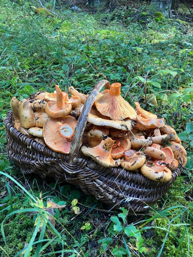 Gite Le Pelens Saint-Martin-dʼEntraunes Kültér fotó